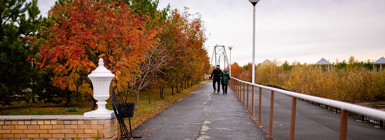 Укрепляем нервы и сосуды